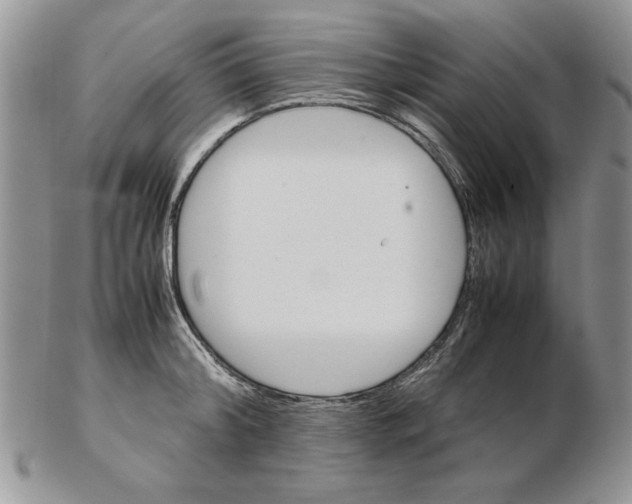 X0000102260804200808221414