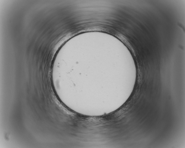 X0000102260805200808221414