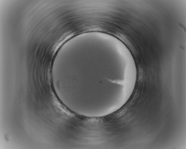 X0000102260806200808221414