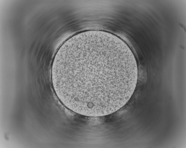 X0000102260807200808221414