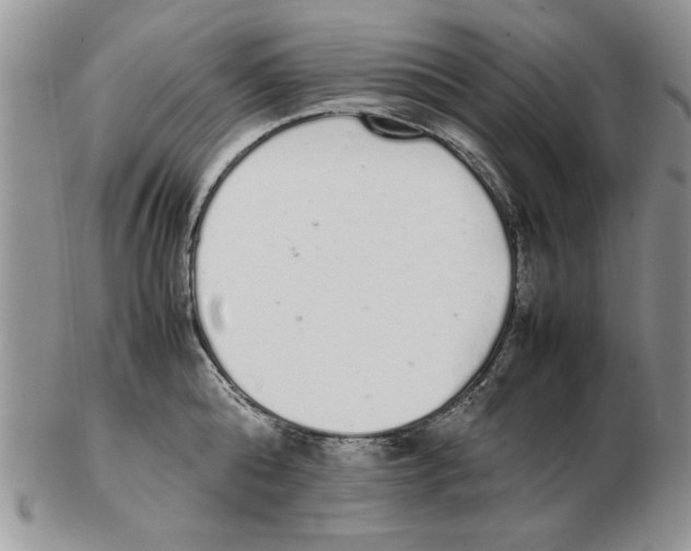 X0000102260808200808221414