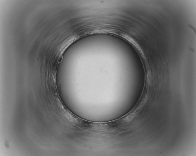 X0000102260809200808221414