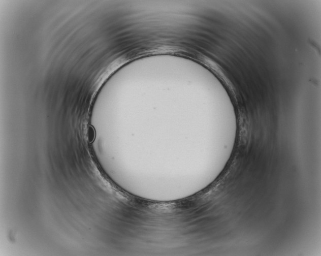 X0000102260810200808221414