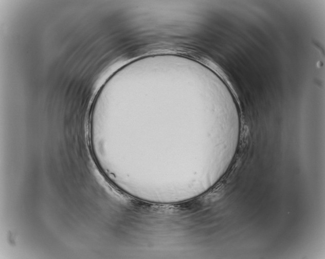 X0000102260811200808221414