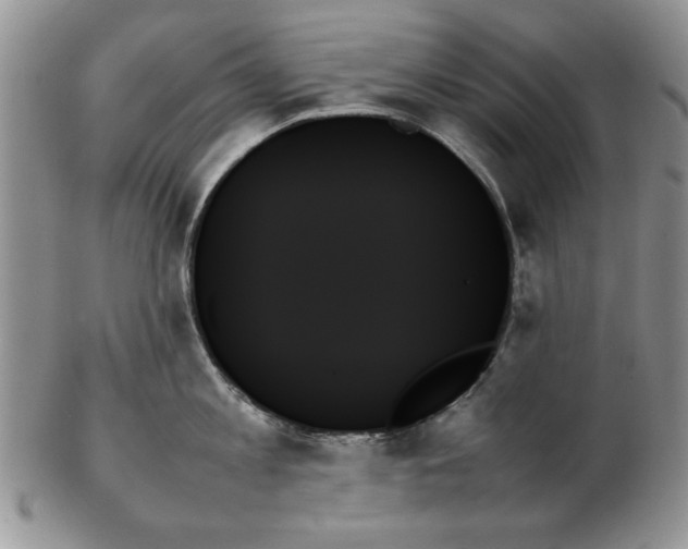 X0000102260813200808221414