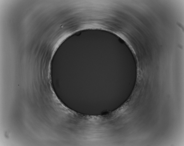 X0000102260815200808221414