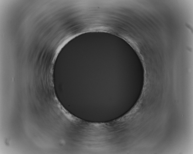 X0000102260816200808221414