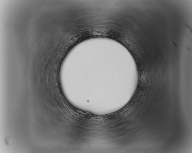 X0000102260817200808221413