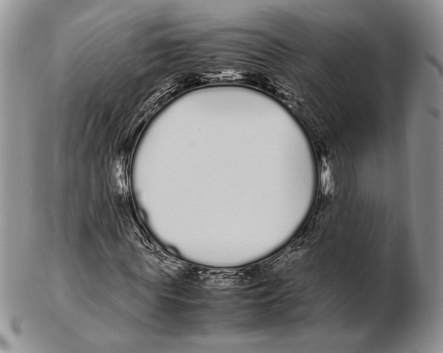 X0000102260819200808221413