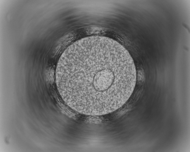 X0000102260820200808221413