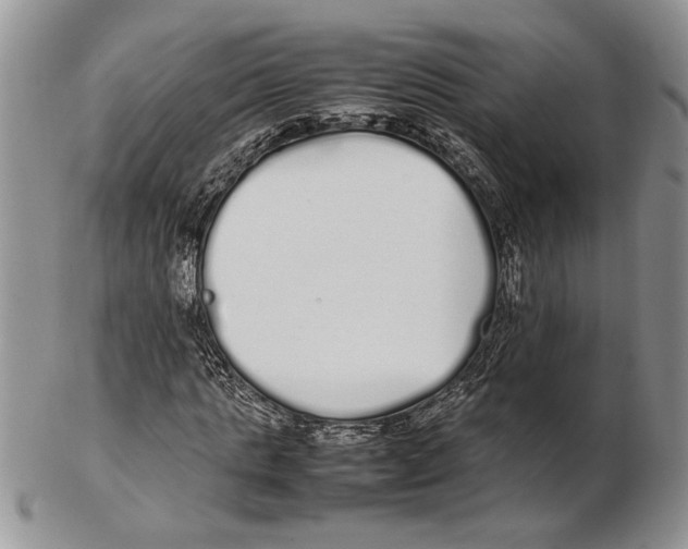 X0000102260821200808221413