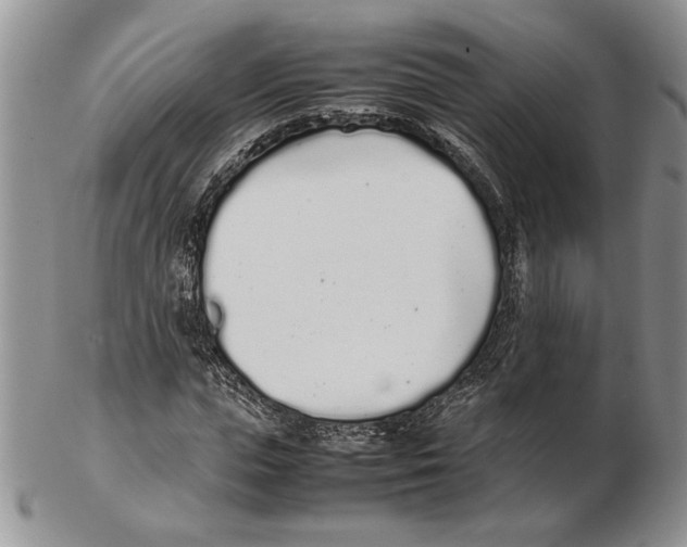 X0000102260823200808221413