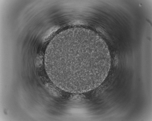 X0000102260824200808221413