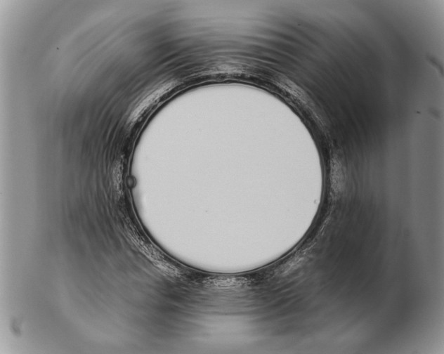 X0000102260826200808221413