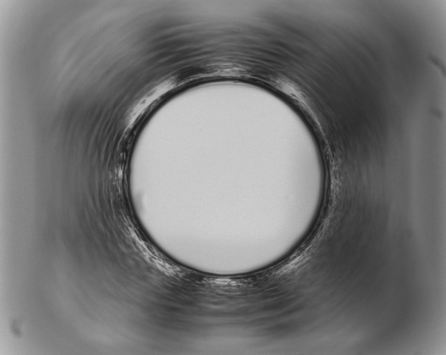 X0000102260827200808221413