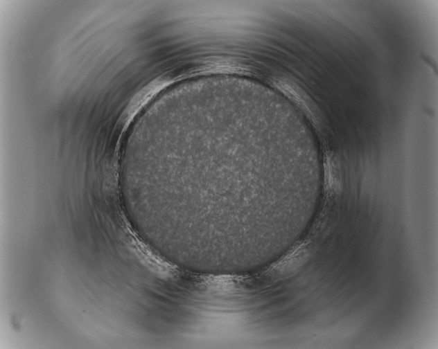 X0000102260828200808221413