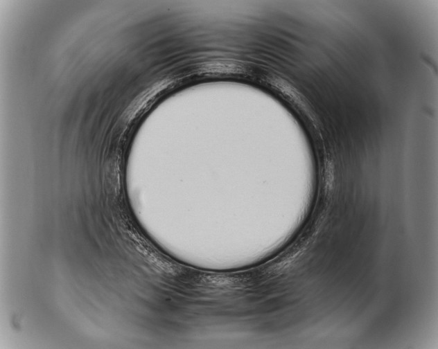 X0000102260829200808221413