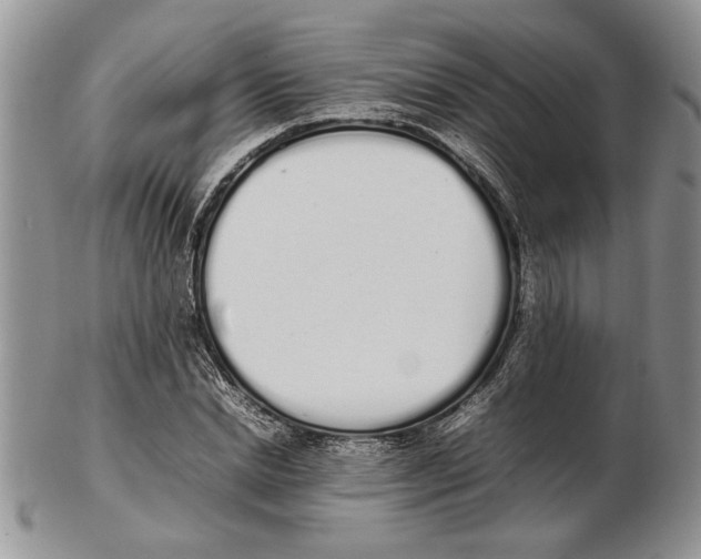 X0000102260830200808221413