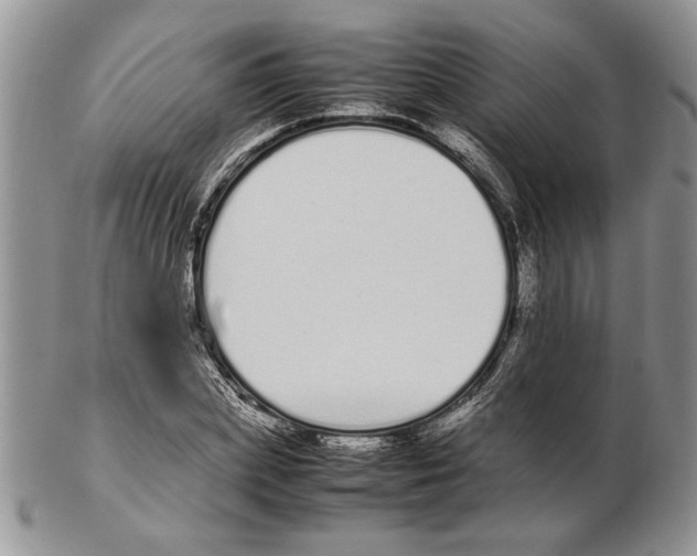 X0000102260831200808221413