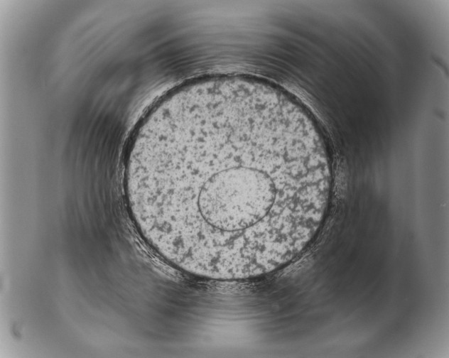 X0000102260832200808221413
