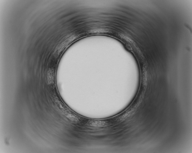 X0000102260833200808221413