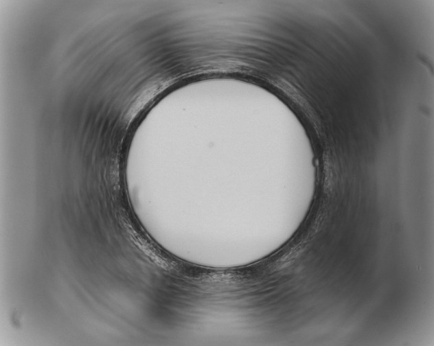 X0000102260834200808221413