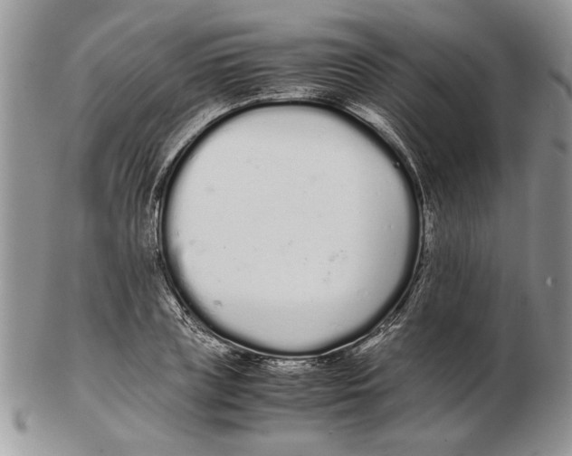 X0000102260835200808221413
