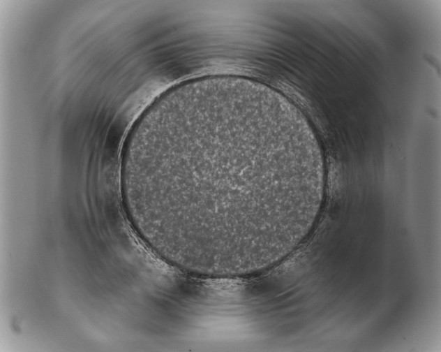 X0000102260836200808221413