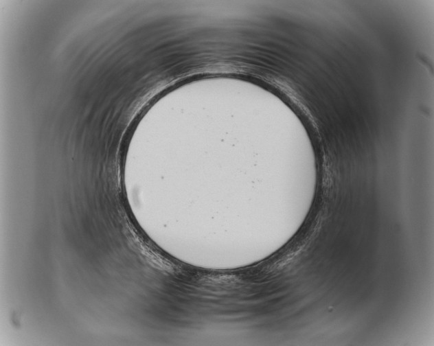 X0000102260837200808221413