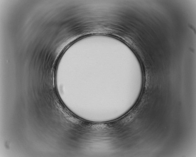 X0000102260838200808221413