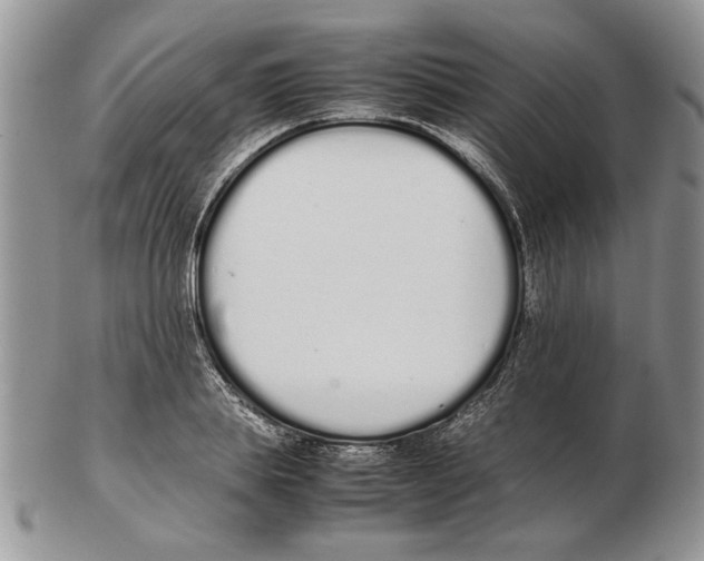X0000102260839200808221413