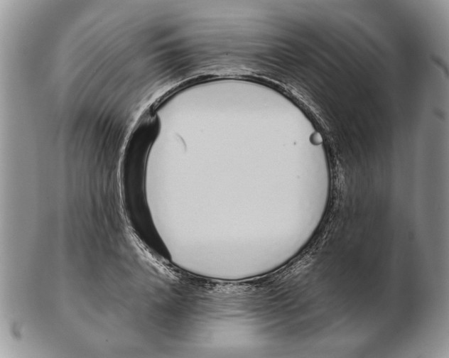 X0000102260840200808221413