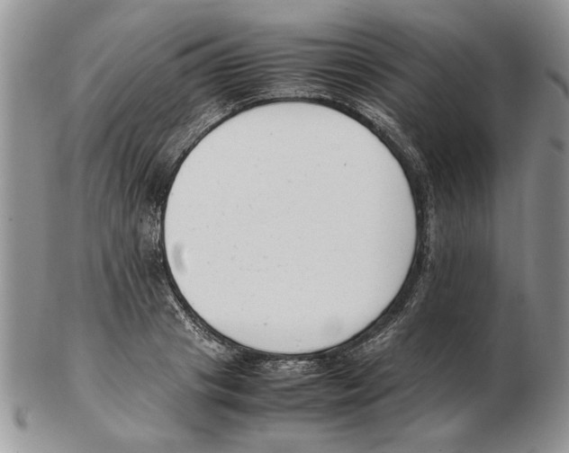 X0000102260841200808221413