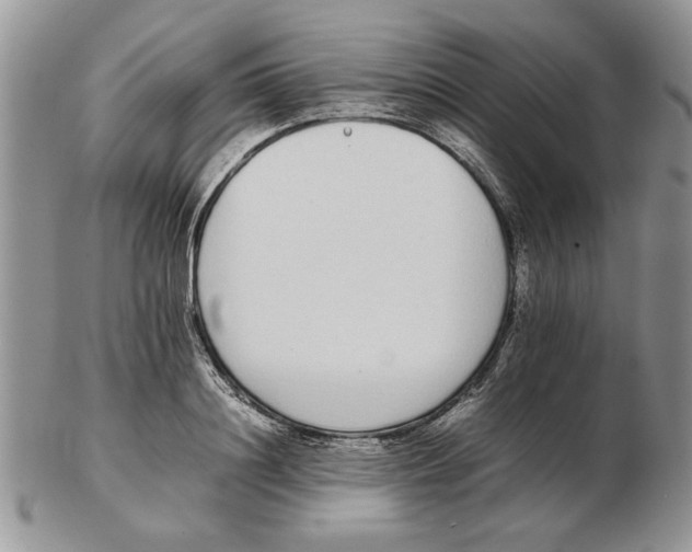 X0000102260844200808221413