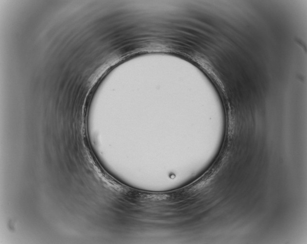 X0000102260845200808221413