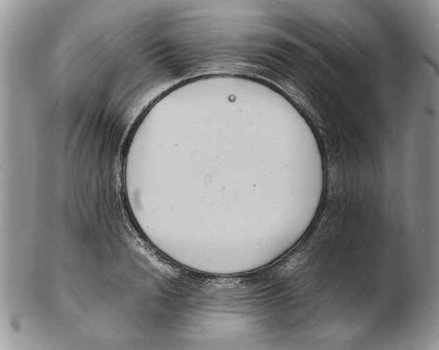 X0000102260846200808221413