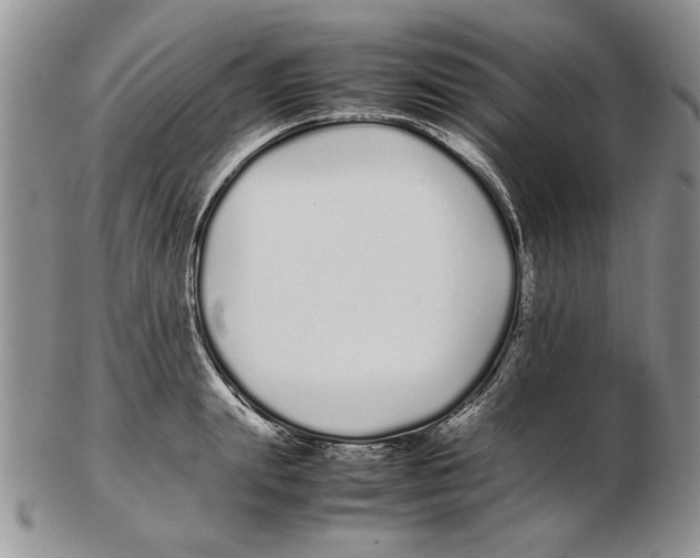 X0000102260847200808221413