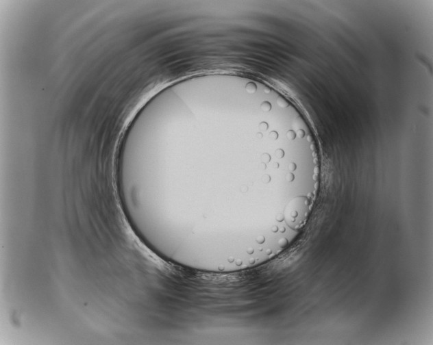 X0000102260851200808221413