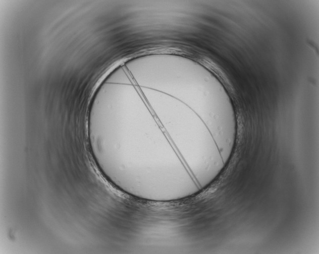 X0000102260852200808221413