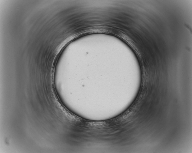 X0000102260853200808221413