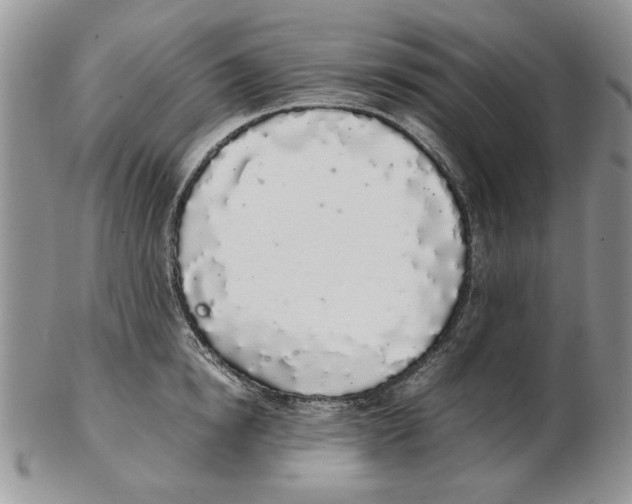 X0000102260854200808221413