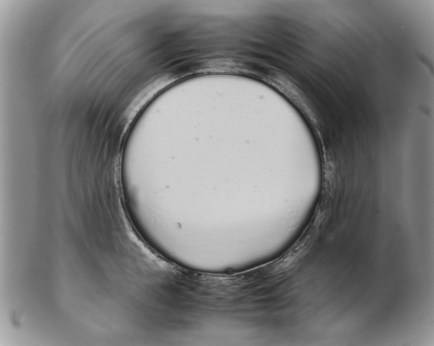 X0000102260855200808221414