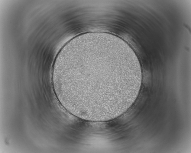 X0000102260856200808221414