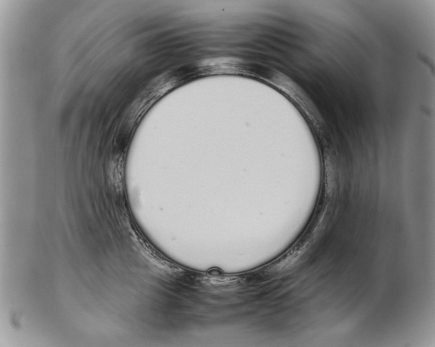 X0000102260857200808221414