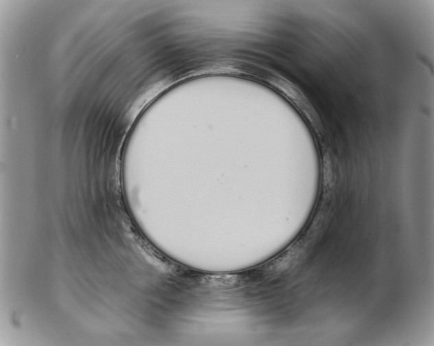 X0000102260858200808221414