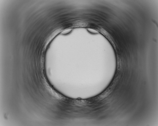 X0000102260859200808221414