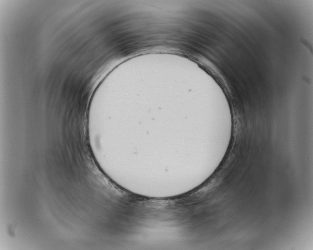 X0000102260860200808221414