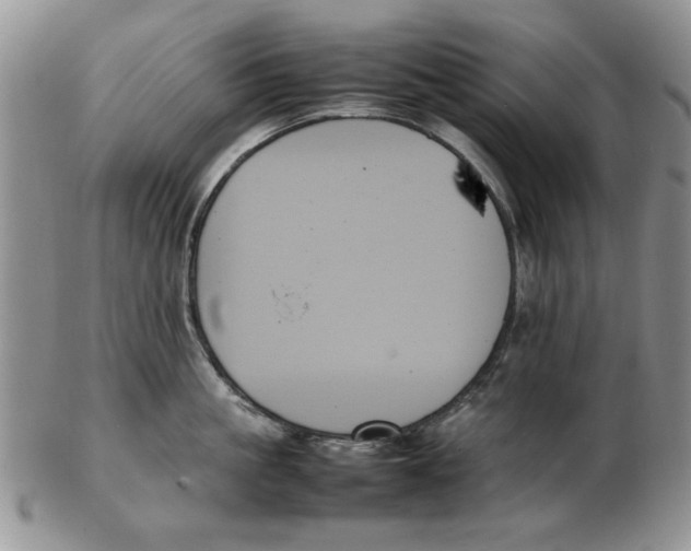 X0000102260861200808221414