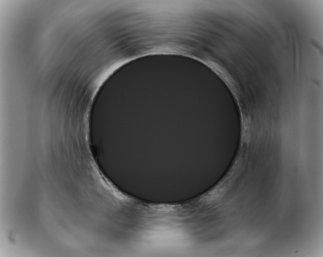 X0000102260862200808221414