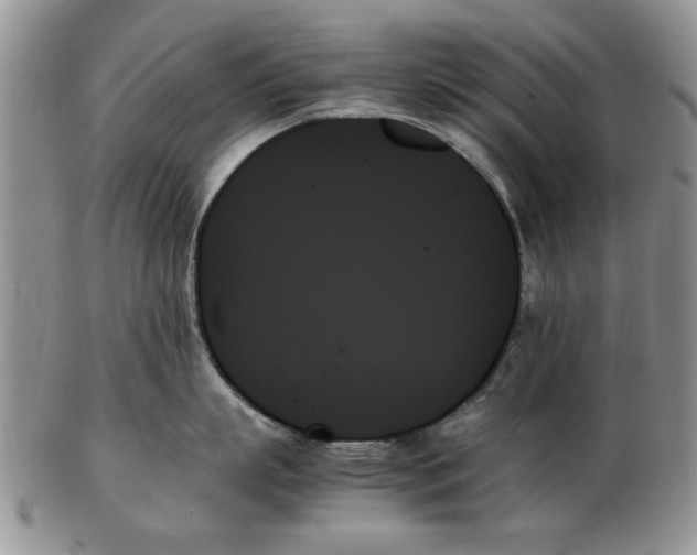 X0000102260863200808221414